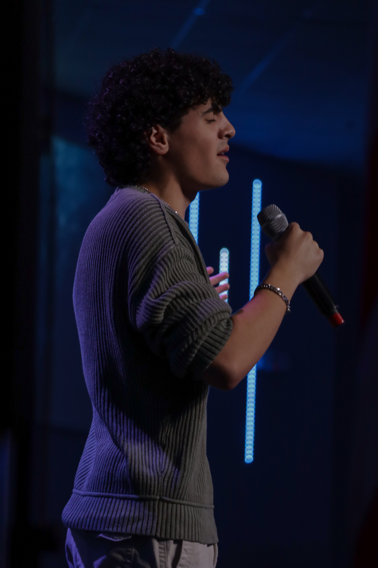 Mic Profile